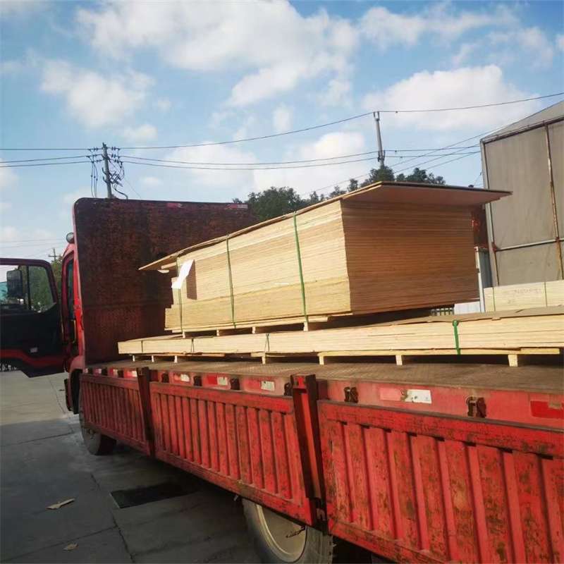 木棠镇通化市物流运输：多元服务与高效线路探秘