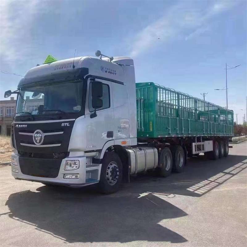 木棠镇南木林县：物流专线的高效货运之旅